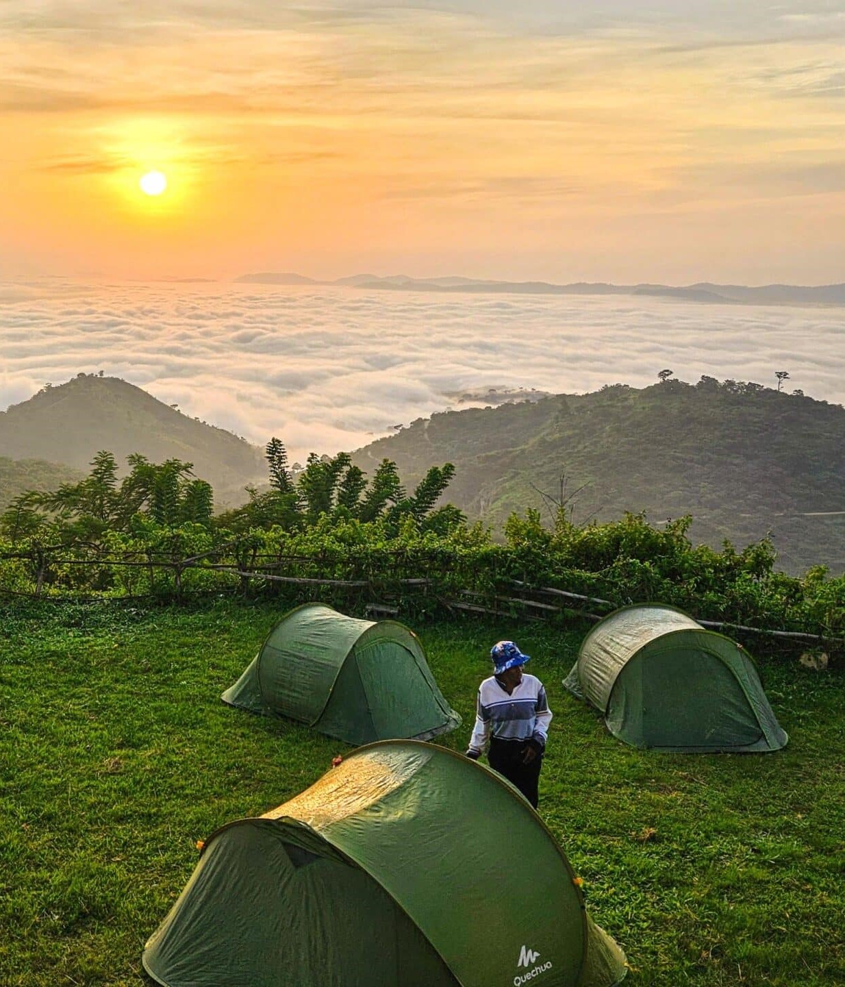 wa goldeneye togo scaled